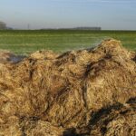 Fertilizzanti naturali per il terreno: consigli pratici per febbraio.