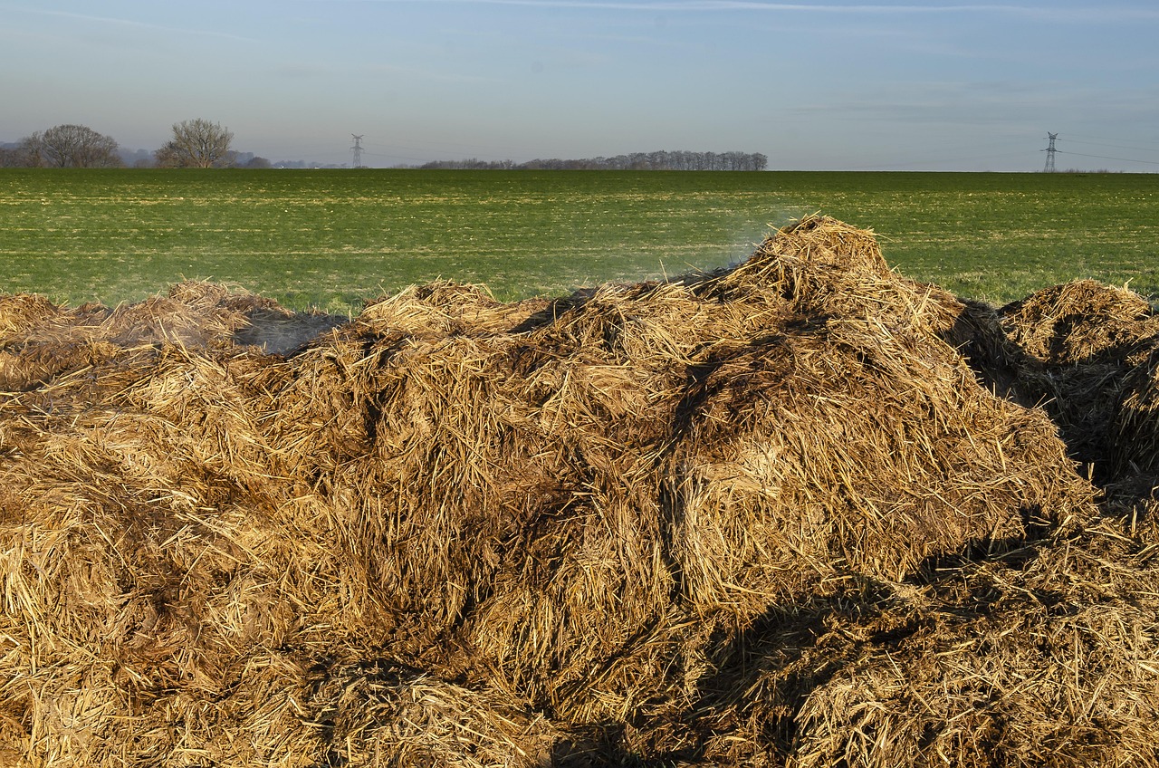 Fertilizzanti naturali per il terreno: consigli pratici per febbraio.