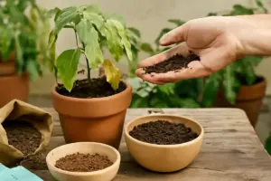 Concimi organici: quali scegliere per prevenire lo stress delle piante coltivate in vaso