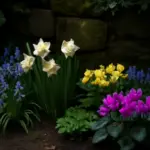 Quali bulbose fioriscono all’ombra? Sorprendi con varietà che illuminano anche gli angoli più bui