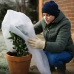 Proteggere le piante dal gelo invernale: materiali isolanti che fanno la differenza