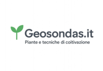 Geosondasas.it
